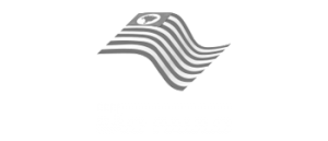 governo_do_estado_de_sao_paulo-300x129-1